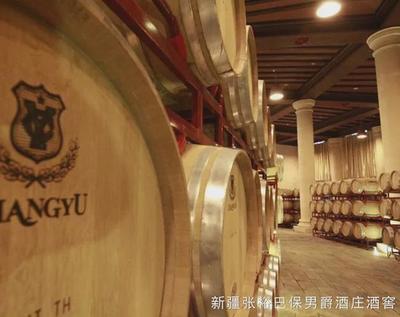 修正藥業擬購茅臺鎮醬酒企業;張裕A觸及漲停板